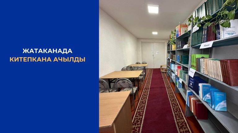 Синяя Белая Диагональные Блоки Базовая Простая Презентация (4)_00012